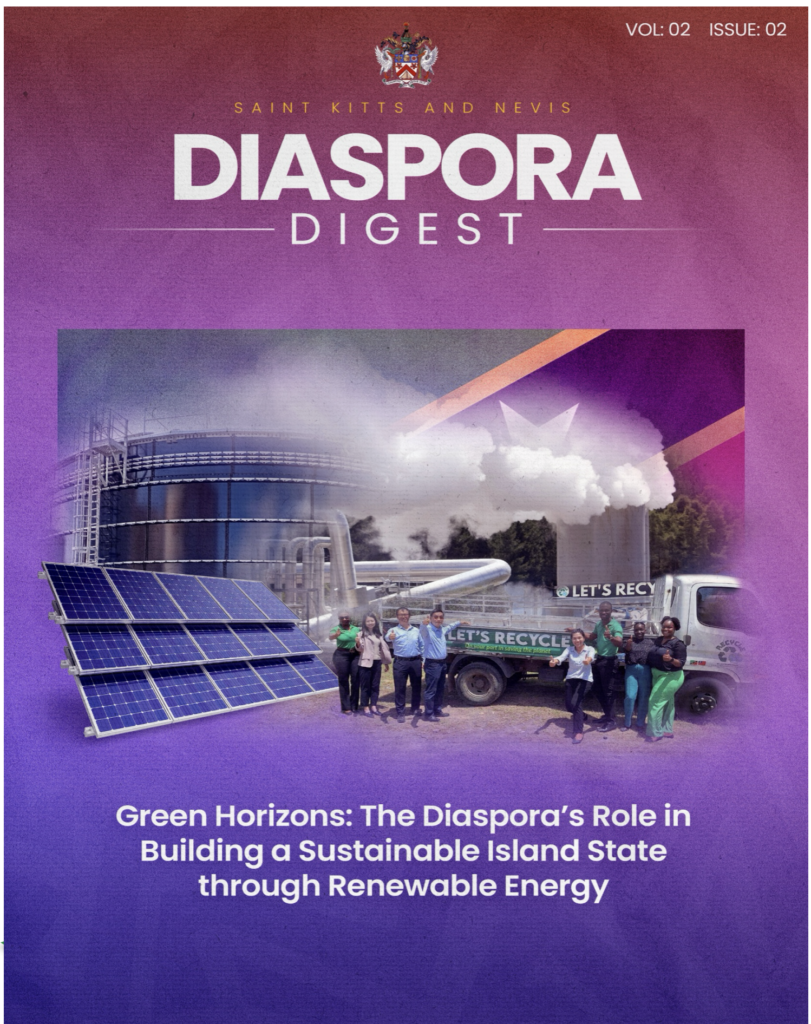 Diaspora Digest Vol 2 Issue 2